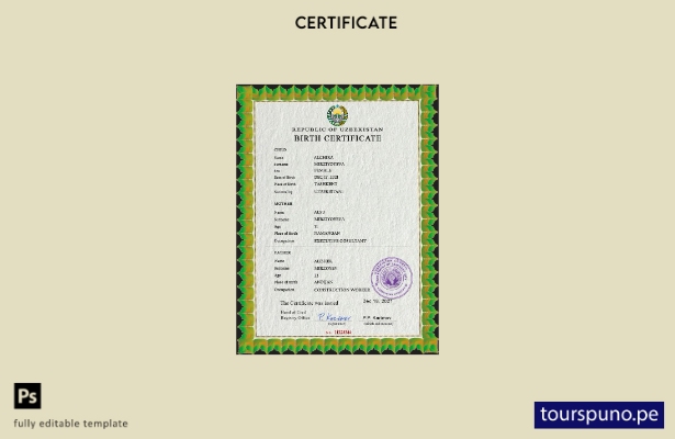 listo para imprimir plantilla de plantilla PSD de certificado de nacimiento de 5